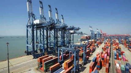 趣說濟南椰子油進口報關那些事兒